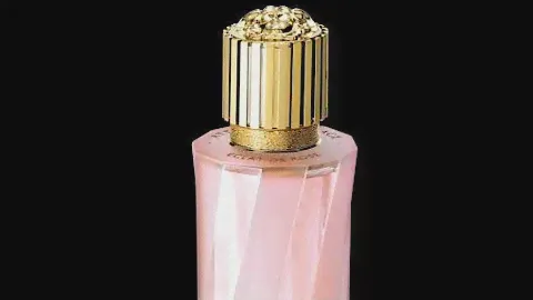 Eclat de Rose Versace 🌹 launched in 2019