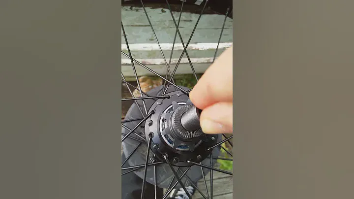 Eclat Cortex Freecoaster Wobble