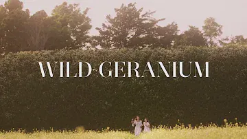 Estée Lauder présente le nouveau parfum AERIN Wild Geranium