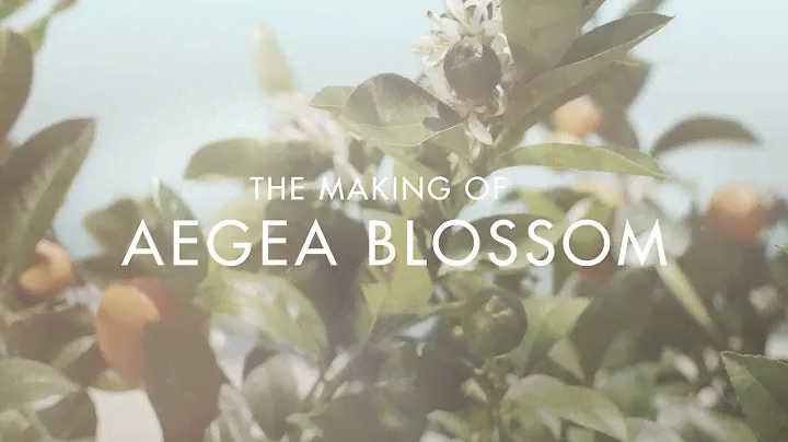 AERIN Aegea Blossom - Behind the Scenes