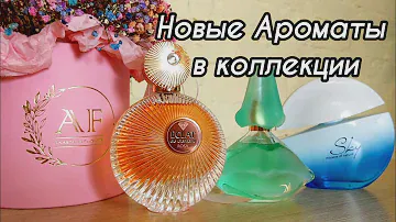 💜 Wildberries Пополнение Парфюмерной Коллекции в День рождения 💐🎁 Новые ароматы