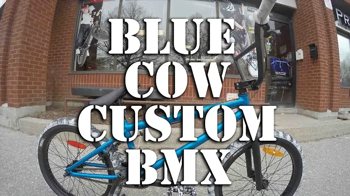Blue Cow Custom BMX @ Harvester Bikes #HARVESTERCUSTOM
